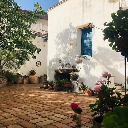 B&B Corte San Lussorio Oliena Exteriér fotografie