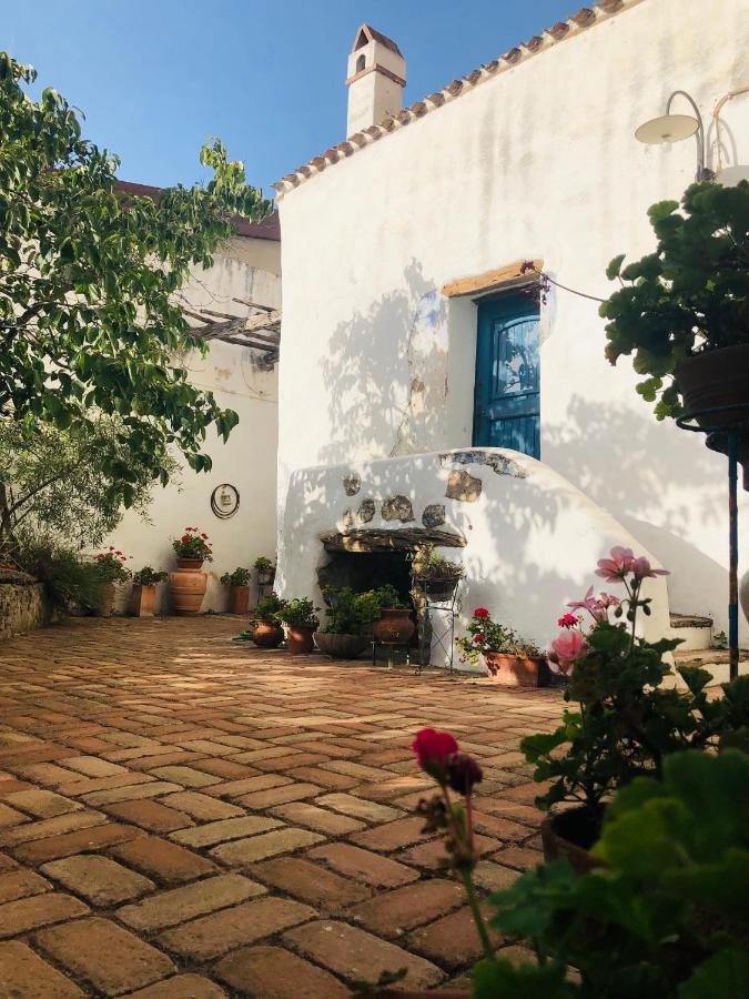 B&B Corte San Lussorio Oliena Exteriér fotografie