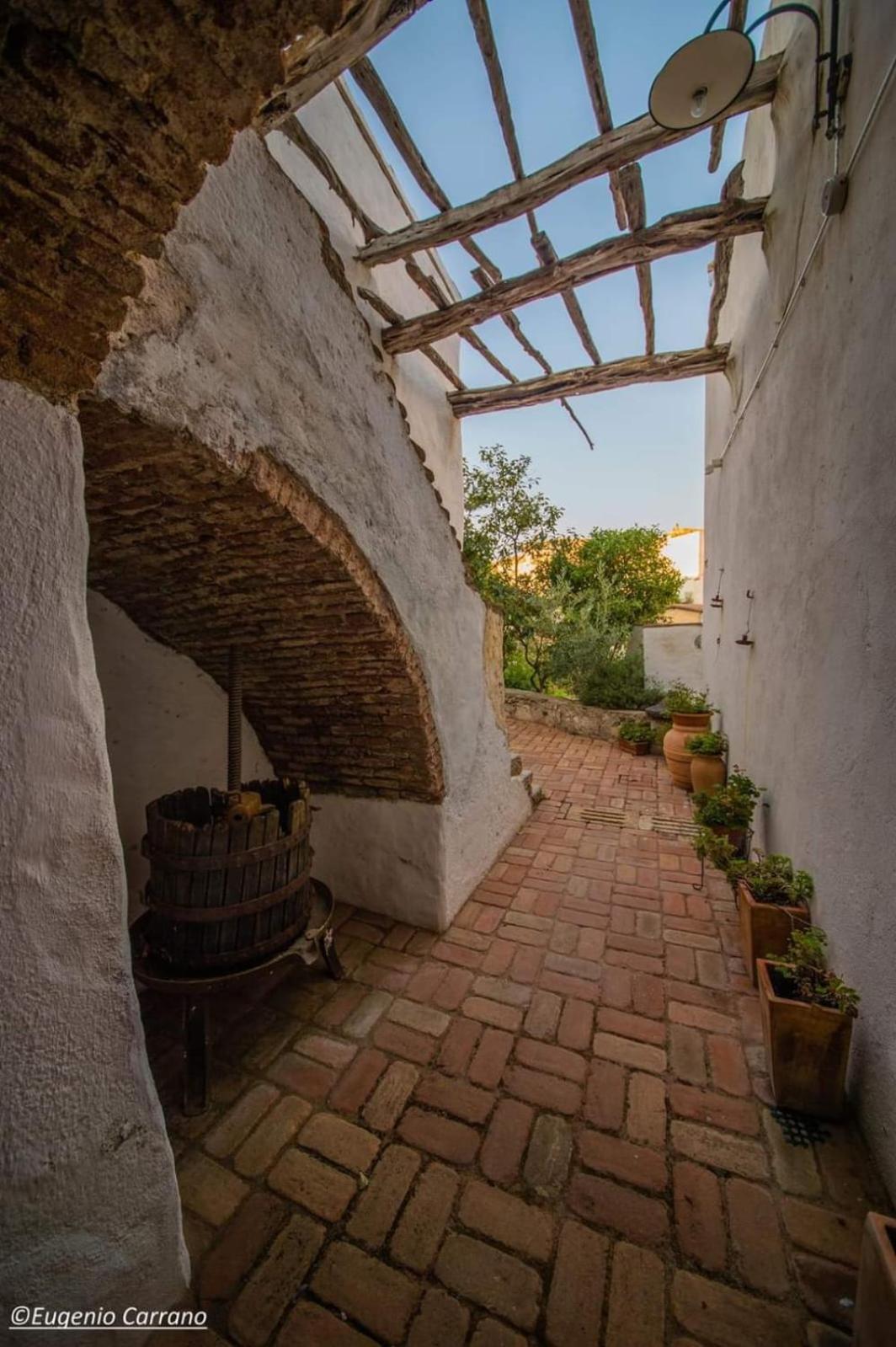 B&B Corte San Lussorio Oliena Exteriér fotografie