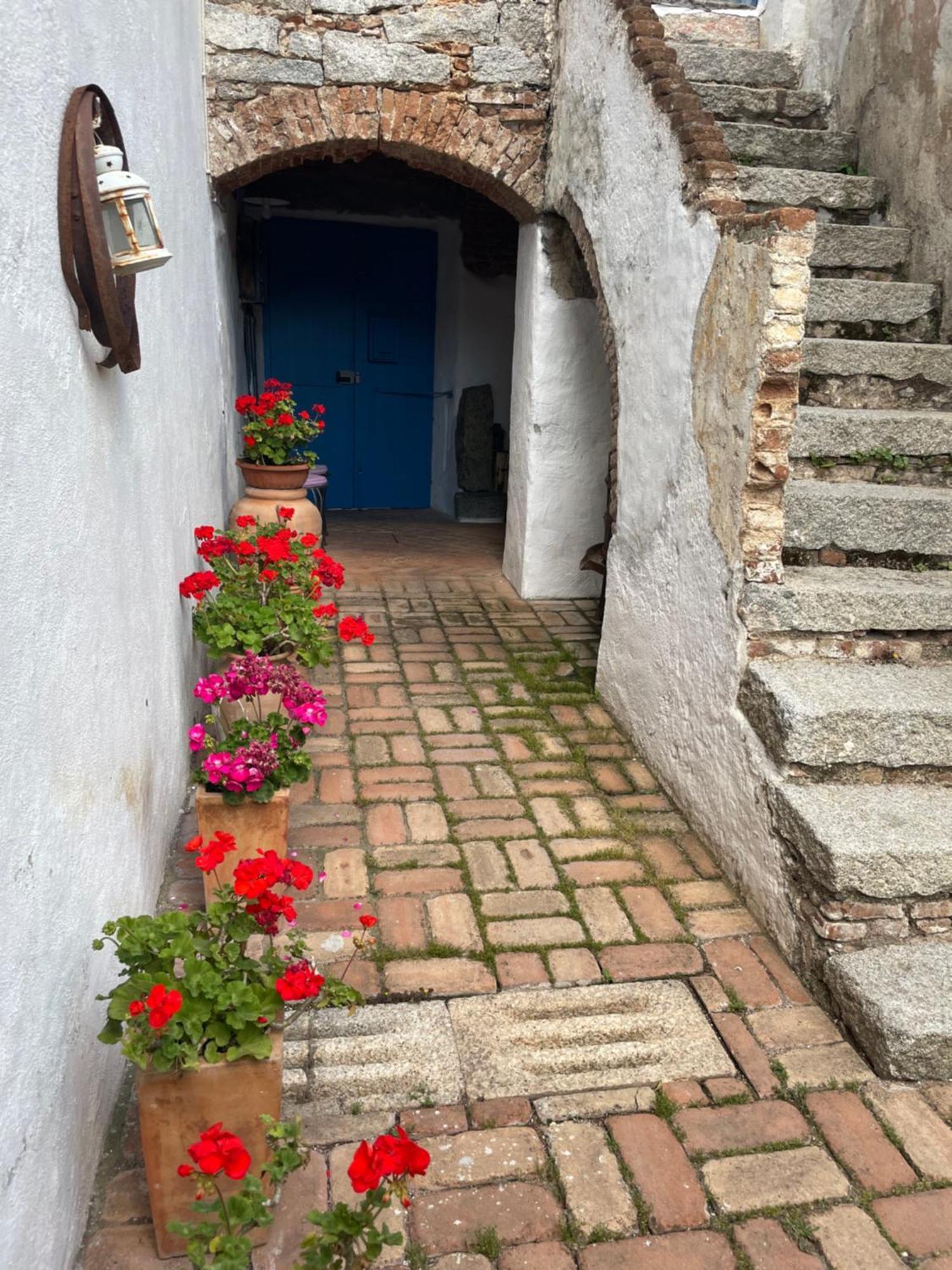 B&B Corte San Lussorio Oliena Exteriér fotografie