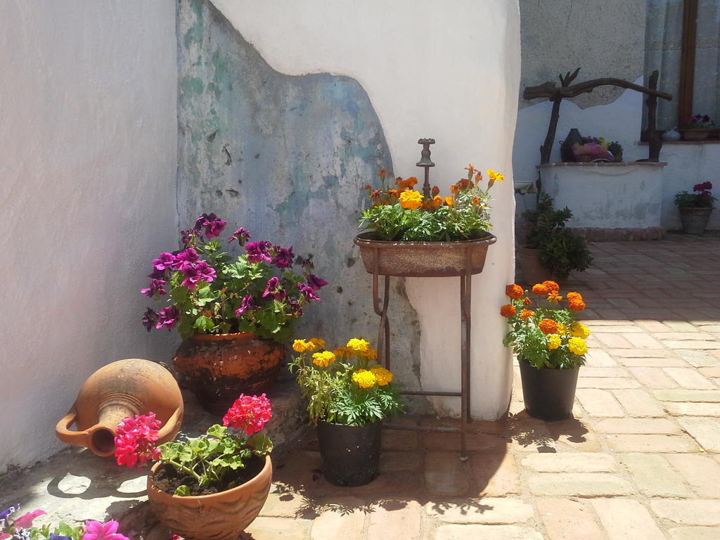 B&B Corte San Lussorio Oliena Exteriér fotografie