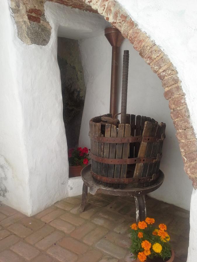 B&B Corte San Lussorio Oliena Exteriér fotografie