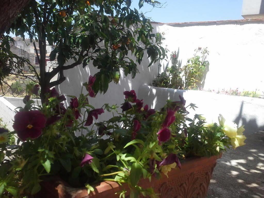 B&B Corte San Lussorio Oliena Exteriér fotografie
